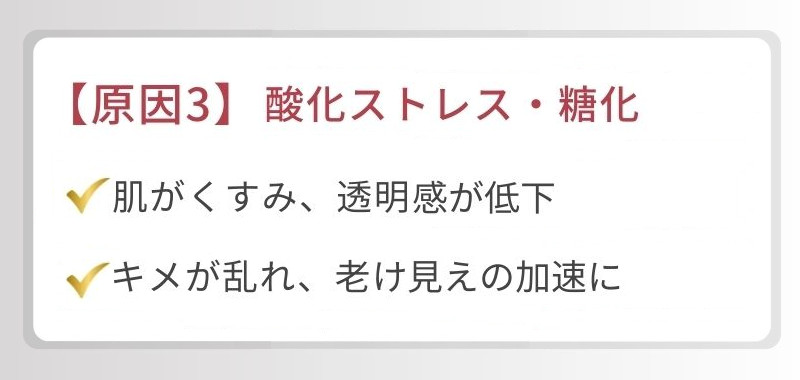 【原因3】酸化ストレス・糖化 肌がくすみ、透明感が低下 キメが乱れ、老け見えの加速に
