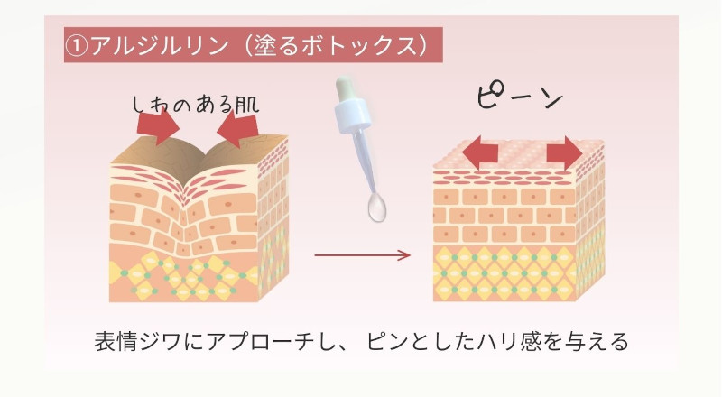①アルジルリン(塗るボトックス) しわのある肌→ピーン 表情ジワにアプローチし、ピンとしたハリ感を与える